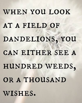 dandelion message